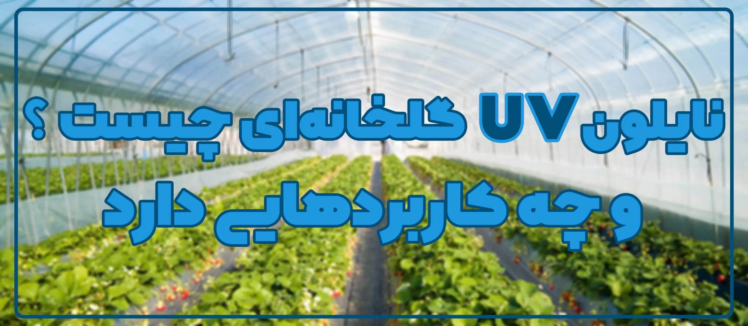 نایلون UV گلخانه ای